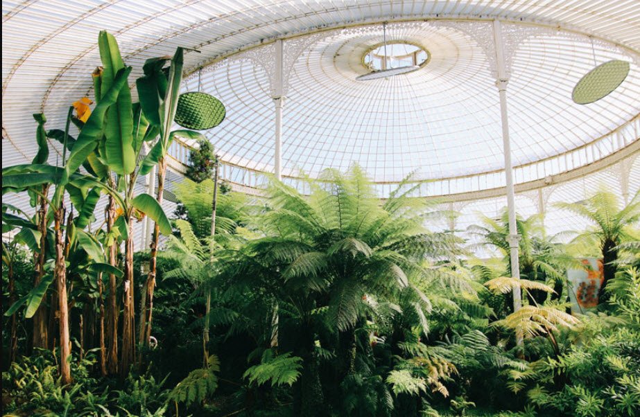 Glasgow Botanic Gardens, United Kingdom